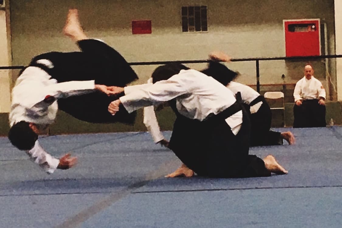 About Aikido Kokikai Berlin